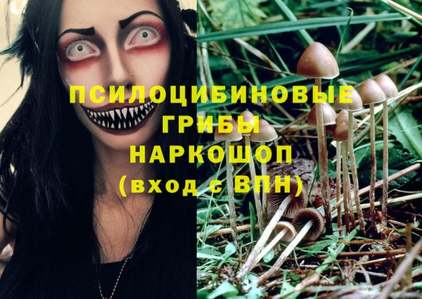 соль ск Нягань