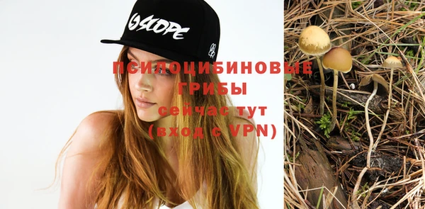 МДПВ Нязепетровск