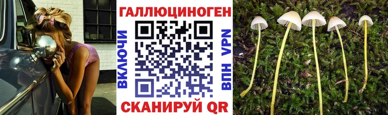 Галлюциногенные грибы Cubensis  Рославль 