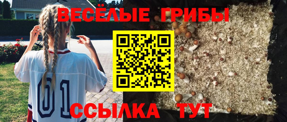 Галлюциногенные грибы Psilocybe  Вход с VPN  купить закладку  Рославль 