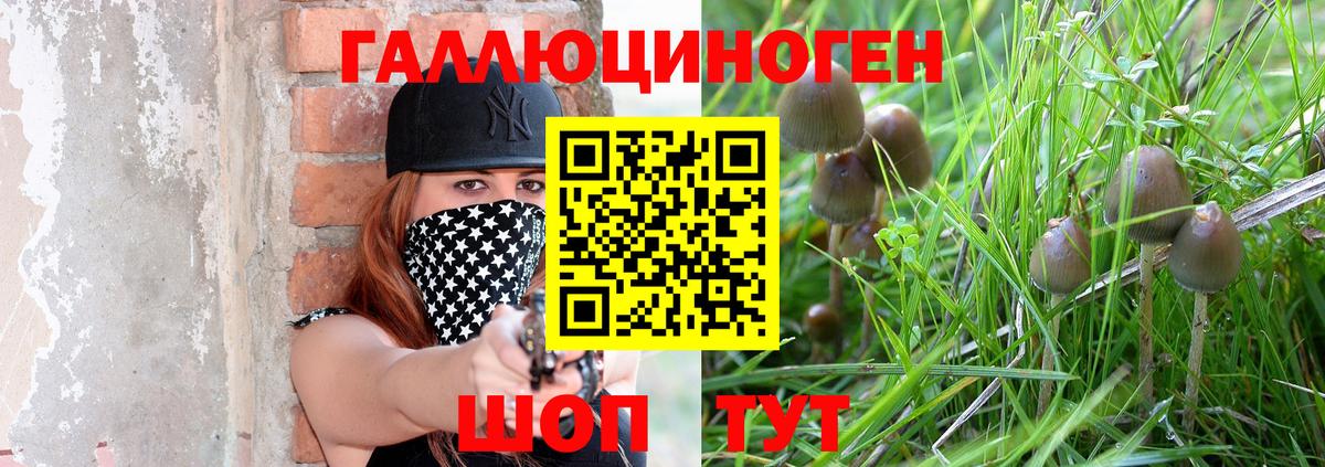 Псилоцибиновые грибы Cubensis  Рославль  закладки  Галлюциногенные грибы MAGIC MUSHROOMS 